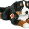 Teddy-Hermann Berner Sennenhund Liegend 60 Cm